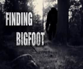 bigfoot download