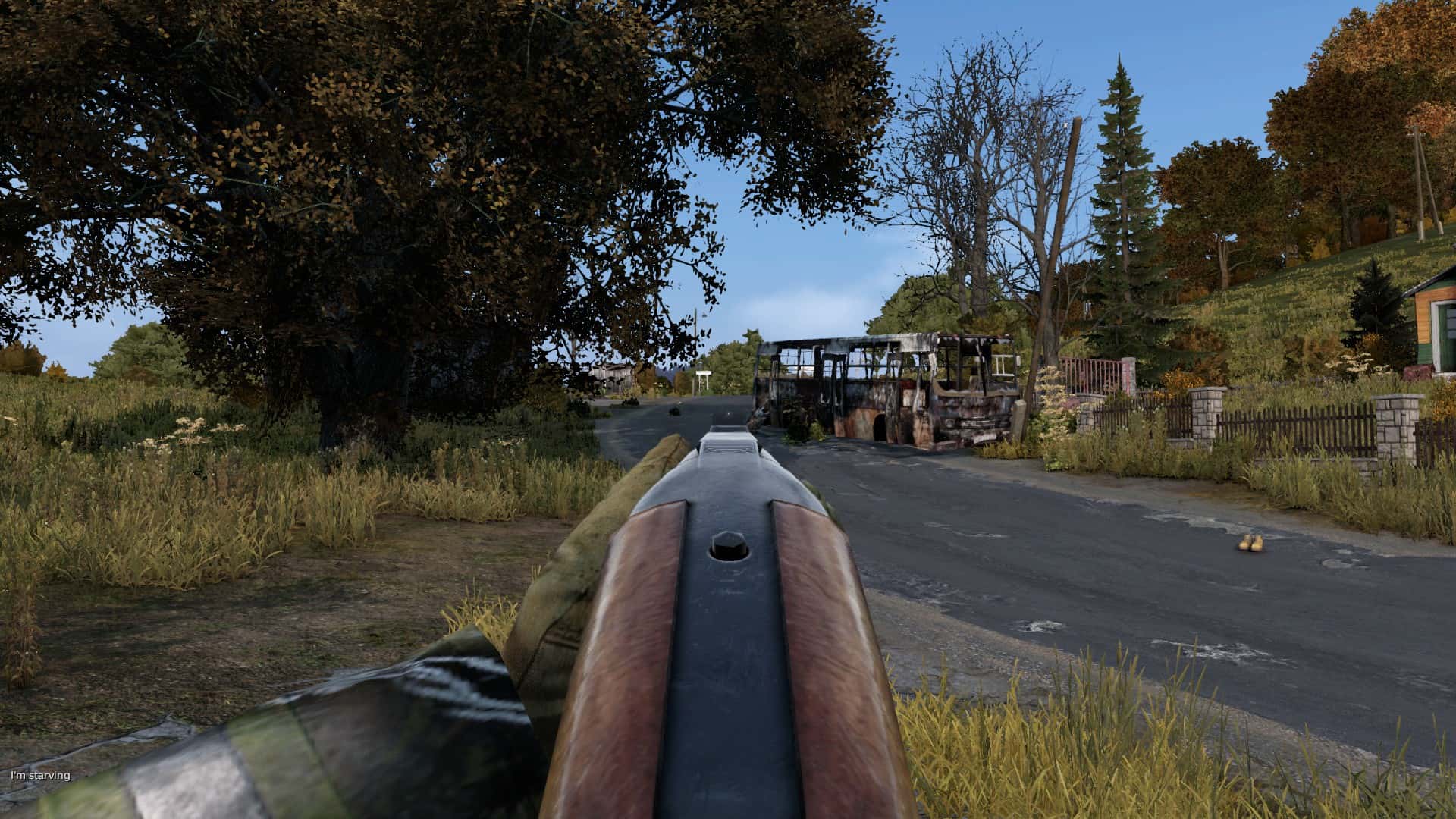 free dayz download