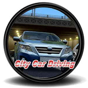 City Car Driving