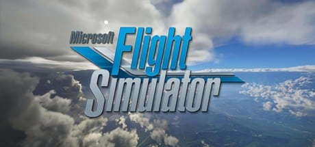 Microsoft Flight Simulator